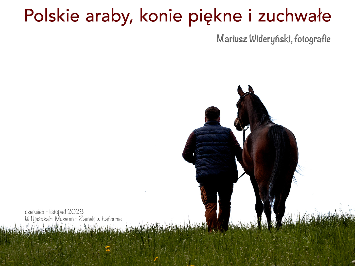 Zaproszenie na wystawę, w tle zdjęcie mężczyzny prowadzącego konia po trawie