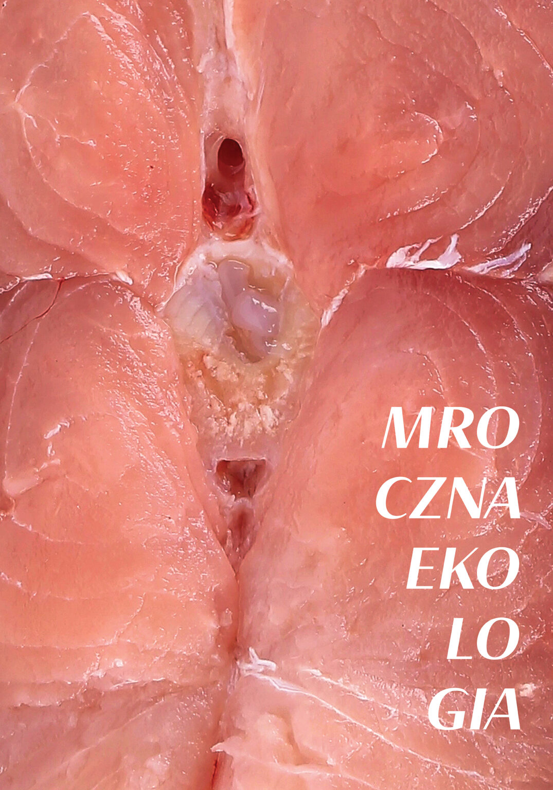 Plakat. Przekrój poprzeczny łososia. Wyraźne widoczna struktura mięsa i kręgosłup. Kompozycja i kolor przywodzi na myśl strefy intymne człowieka. Po prawej stronie napis mroczna ekologia.