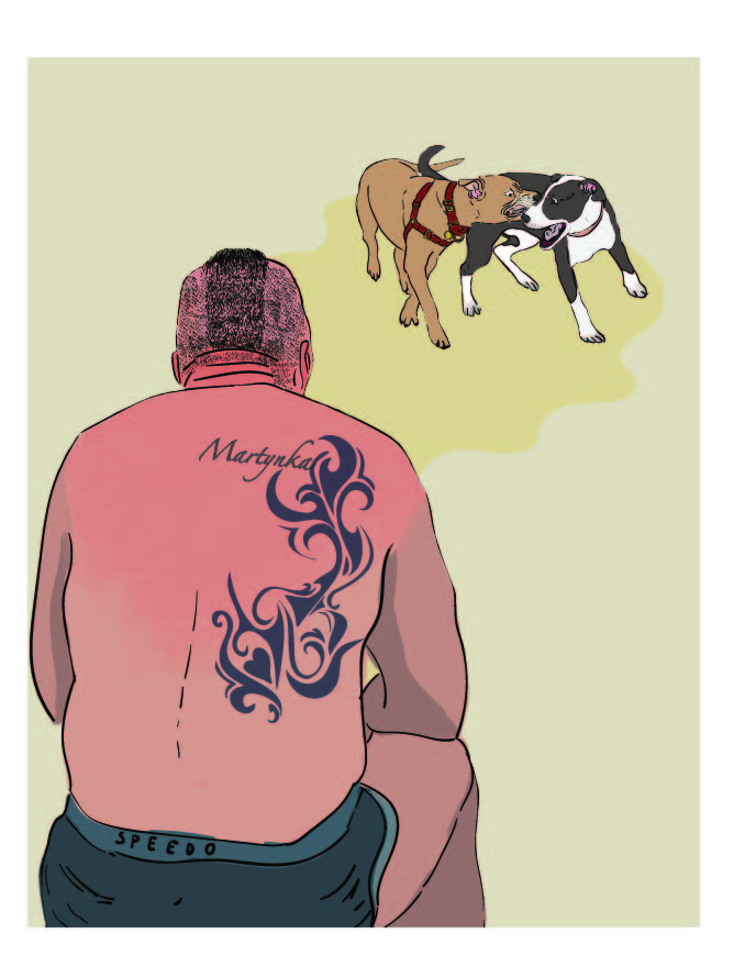 Sonia Dudek, ilustracje