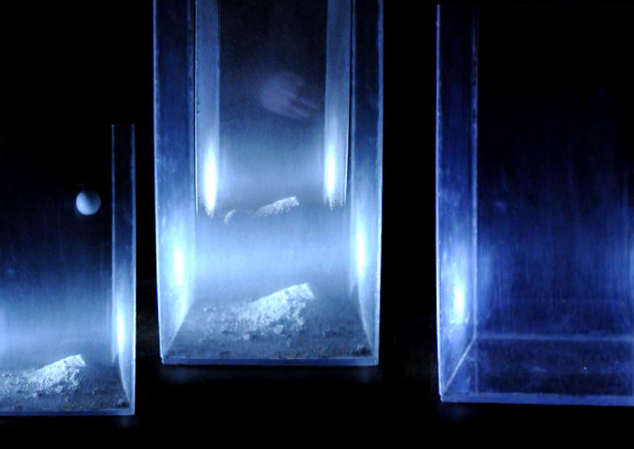 Honorata Dziadosz "Stworzenie"