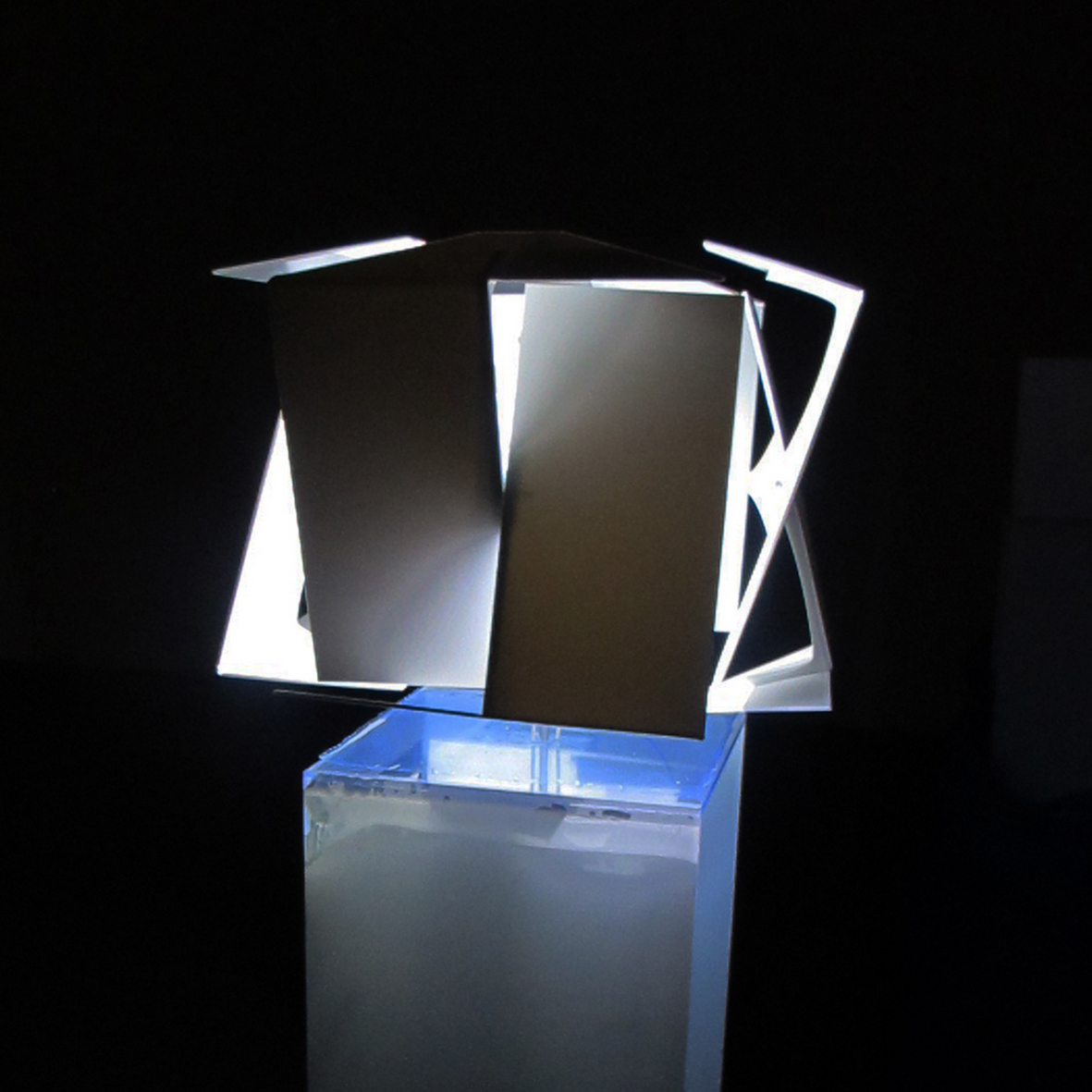 Martyna Witkowska, Spalectron