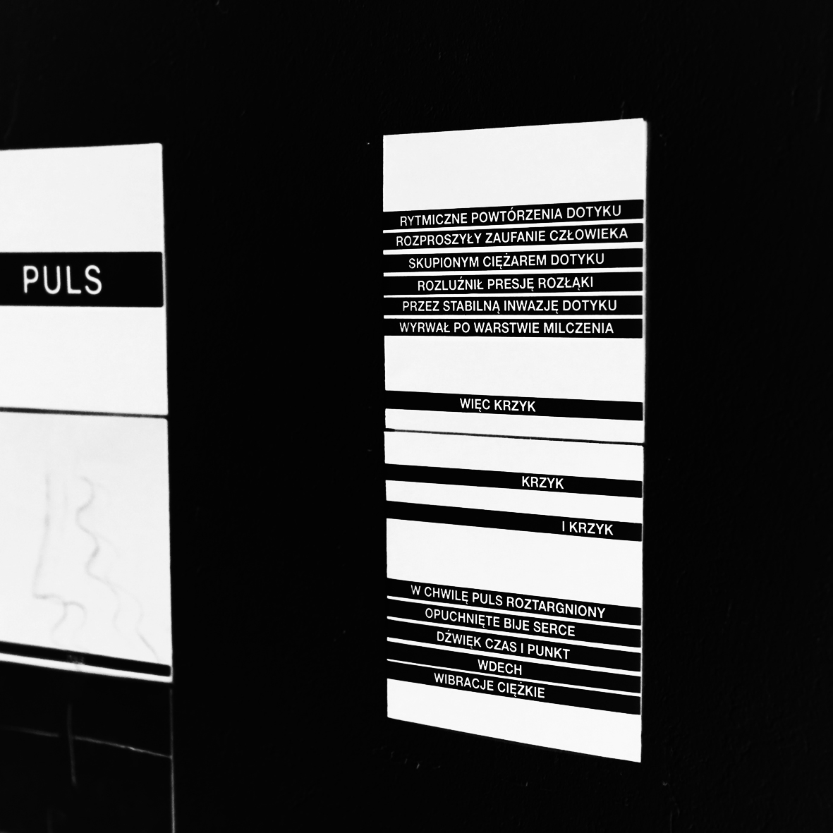 Organizm Intermedialny / dokumentacja prowadzenia procesu, Warsztat, photo. meg janus, wiersz autorstwa: Anna Fabrycy, Kamila Falęcka, Krzysztof Głowacki, Szymon Golendzinowski, Alicja Gołąb, STACCAT