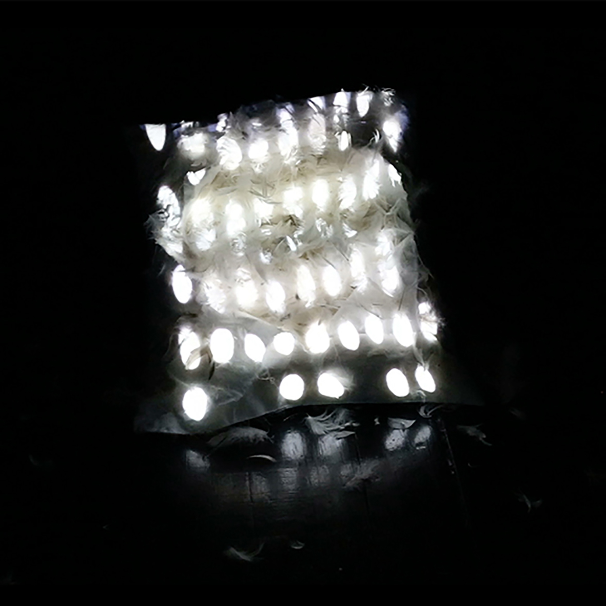 Karolina Polkowska, Pałac snów