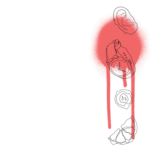 Aleksandra Raszka, ilustracje