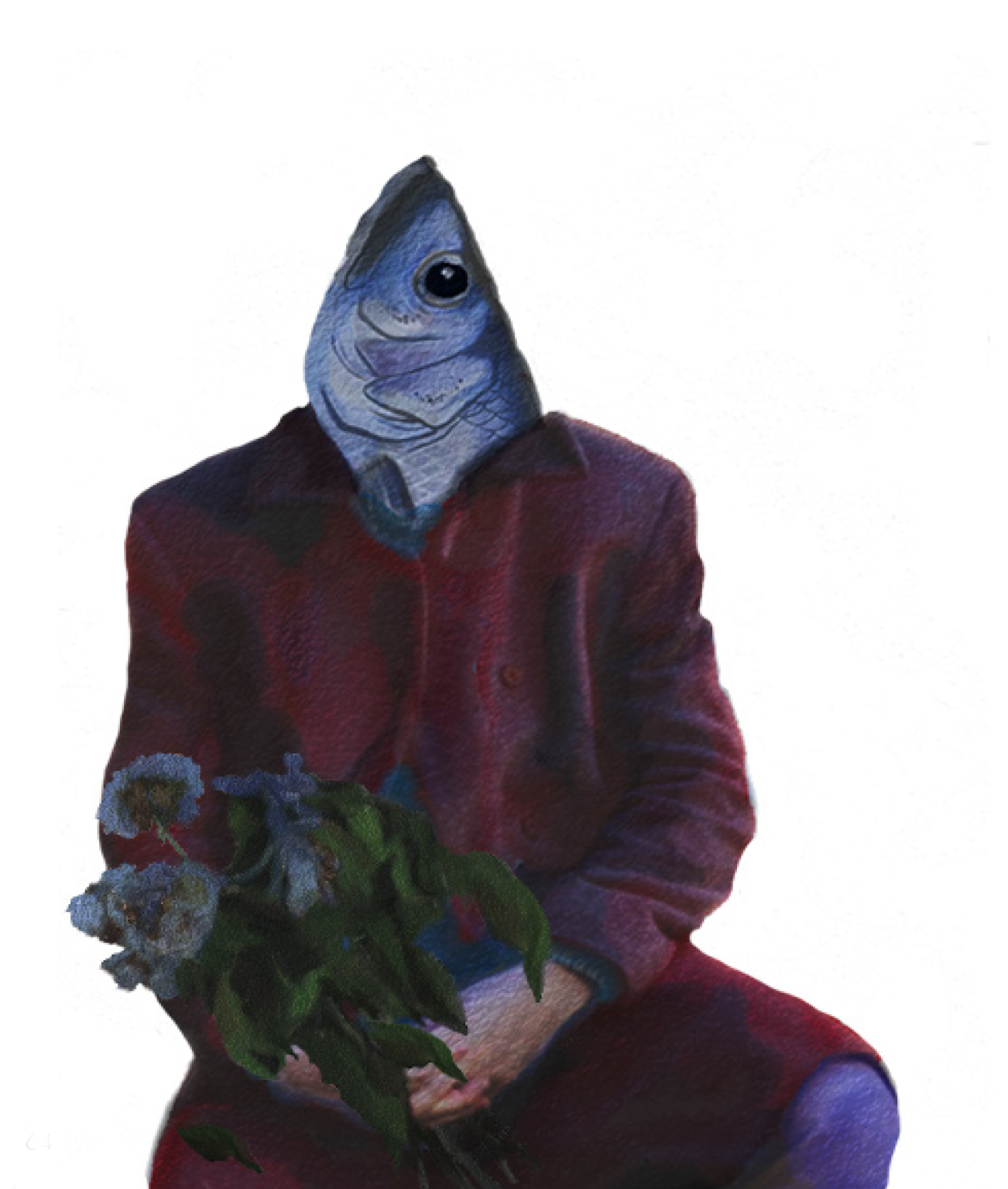 Aleksandra Sołtysiak, ilustracje