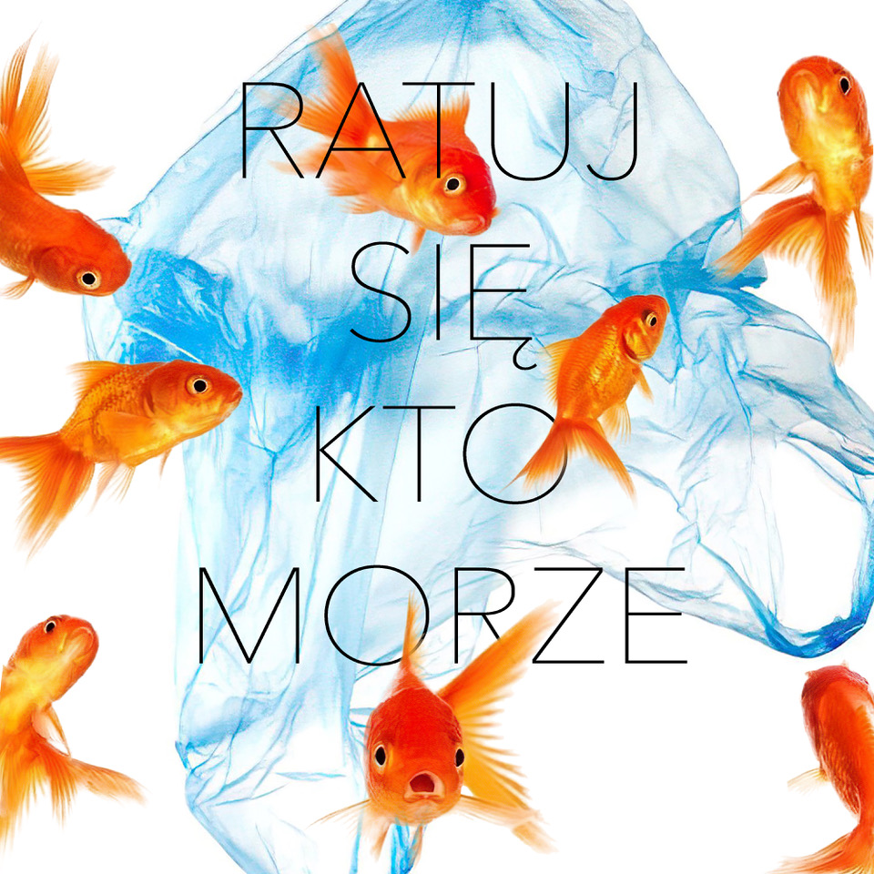 vlepka - Jeremi Czyż