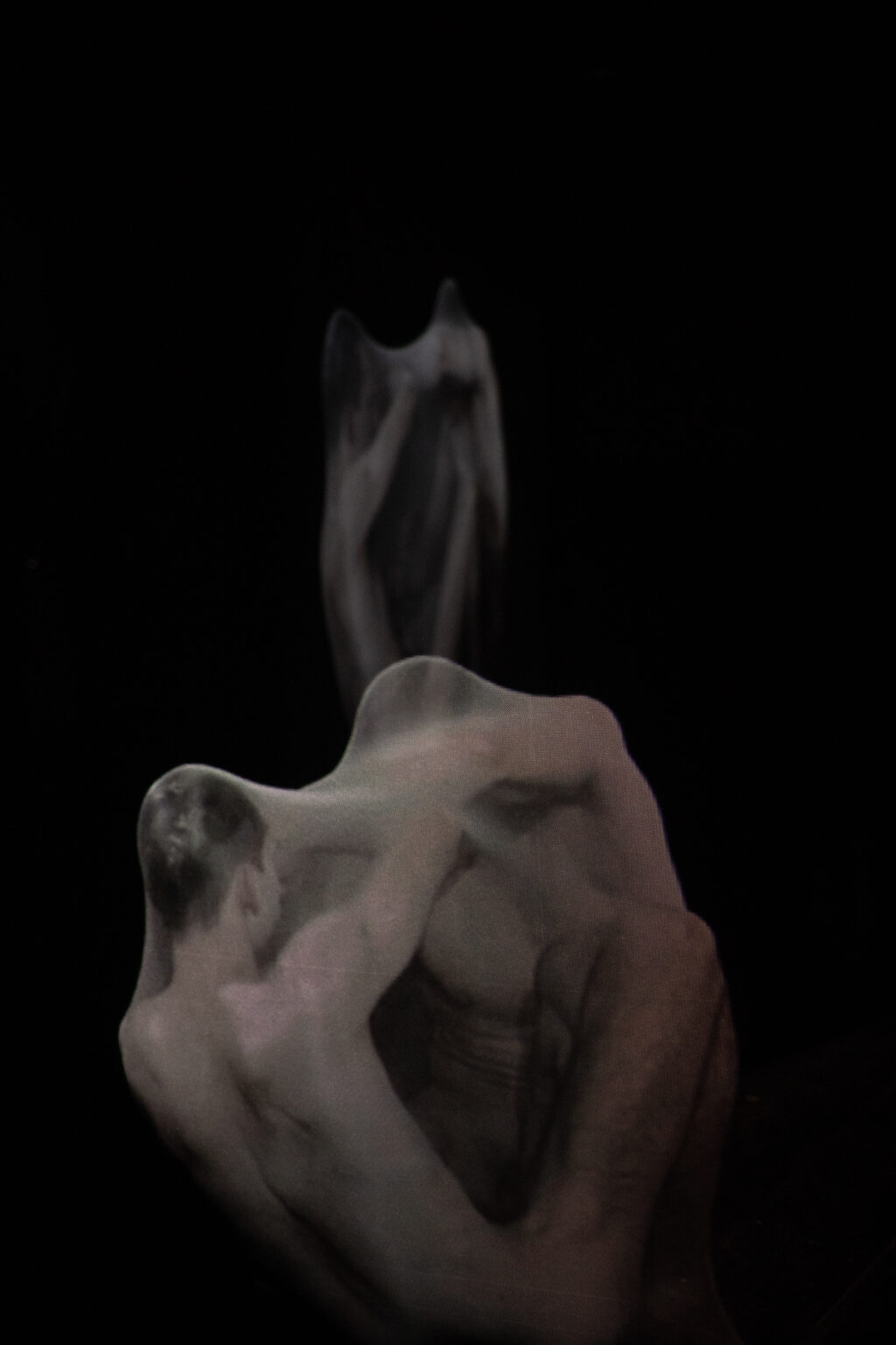 Wideo instalacja przestrzenna przestawiająca intymne relacje między dwojgiem mężczyzn. Projekcja na trzech transparentnych ekranach