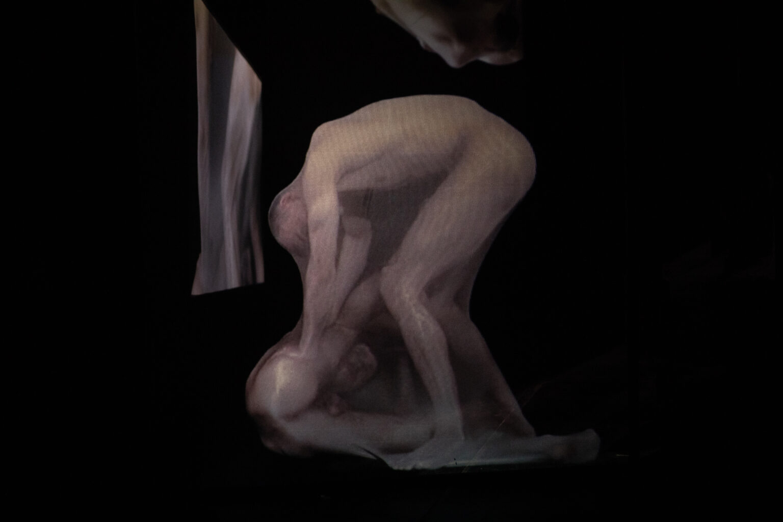 Wideo instalacja przestrzenna przestawiająca intymne relacje między dwojgiem mężczyzn. Projekcja na trzech transparentnych ekranach