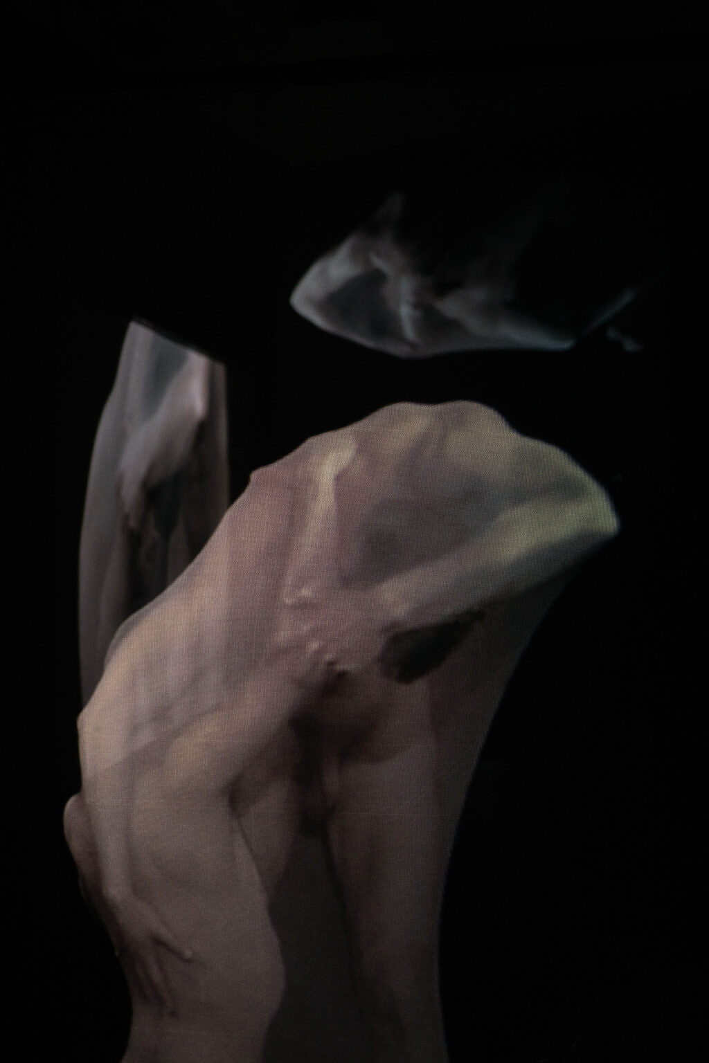 Wideo instalacja przestrzenna przestawiająca intymne relacje między dwojgiem mężczyzn. Projekcja na trzech transparentnych ekranach