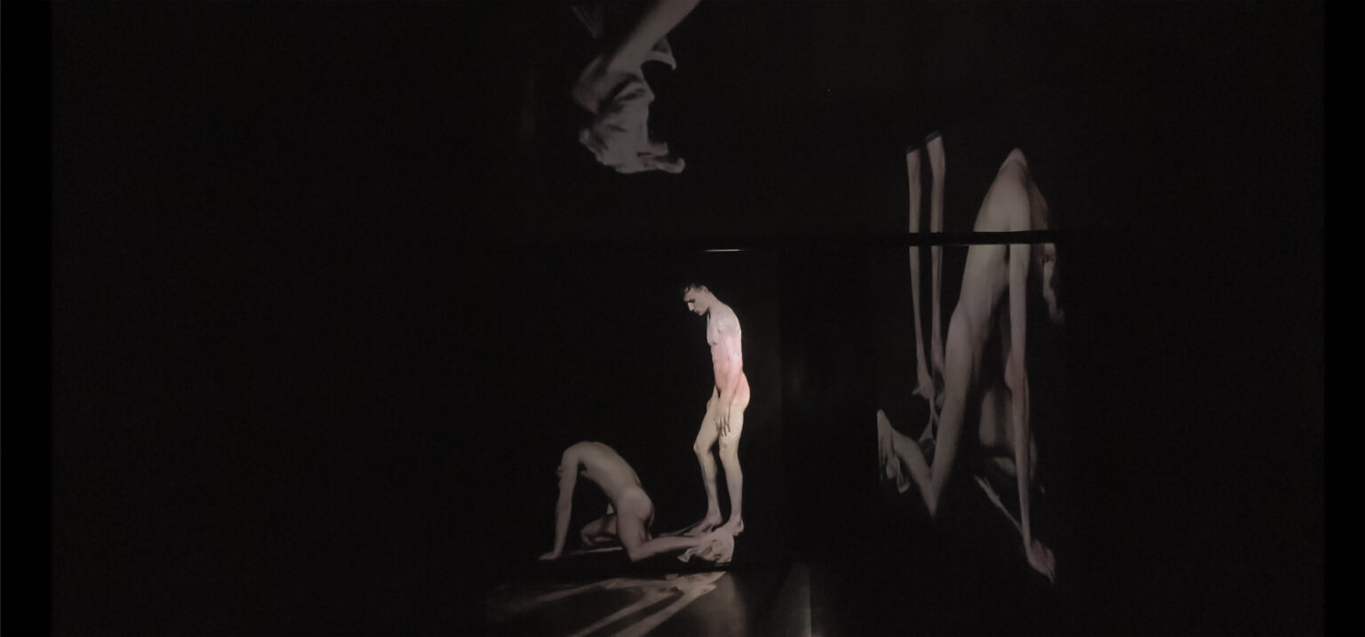 Wideo instalacja przestrzenna przestawiająca intymne relacje między dwojgiem mężczyzn. Projekcja na trzech transparentnych ekranach