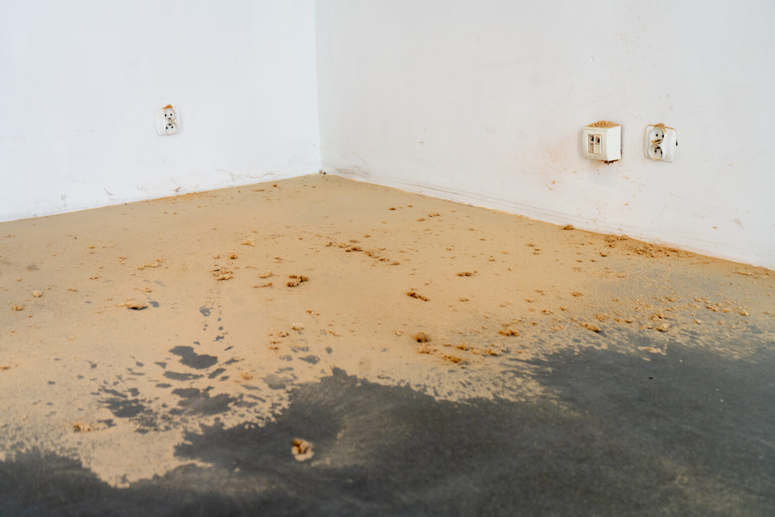 Instalacja przestrzenna składająca się z drewnianych belek rozpostartych pomiedzy sufitem a podłogą. Obok belek pozostałości po leżą wióry, pozostałości po obróbce drewna.