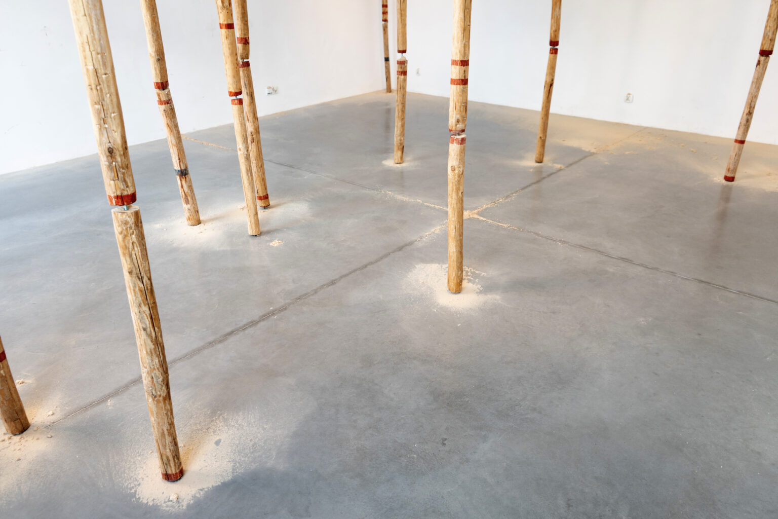 Instalacja przestrzenna składająca się z drewnianych belek rozpostartych pomiedzy sufitem a podłogą. Obok belek pozostałości po leżą wióry, pozostałości po obróbce drewna.