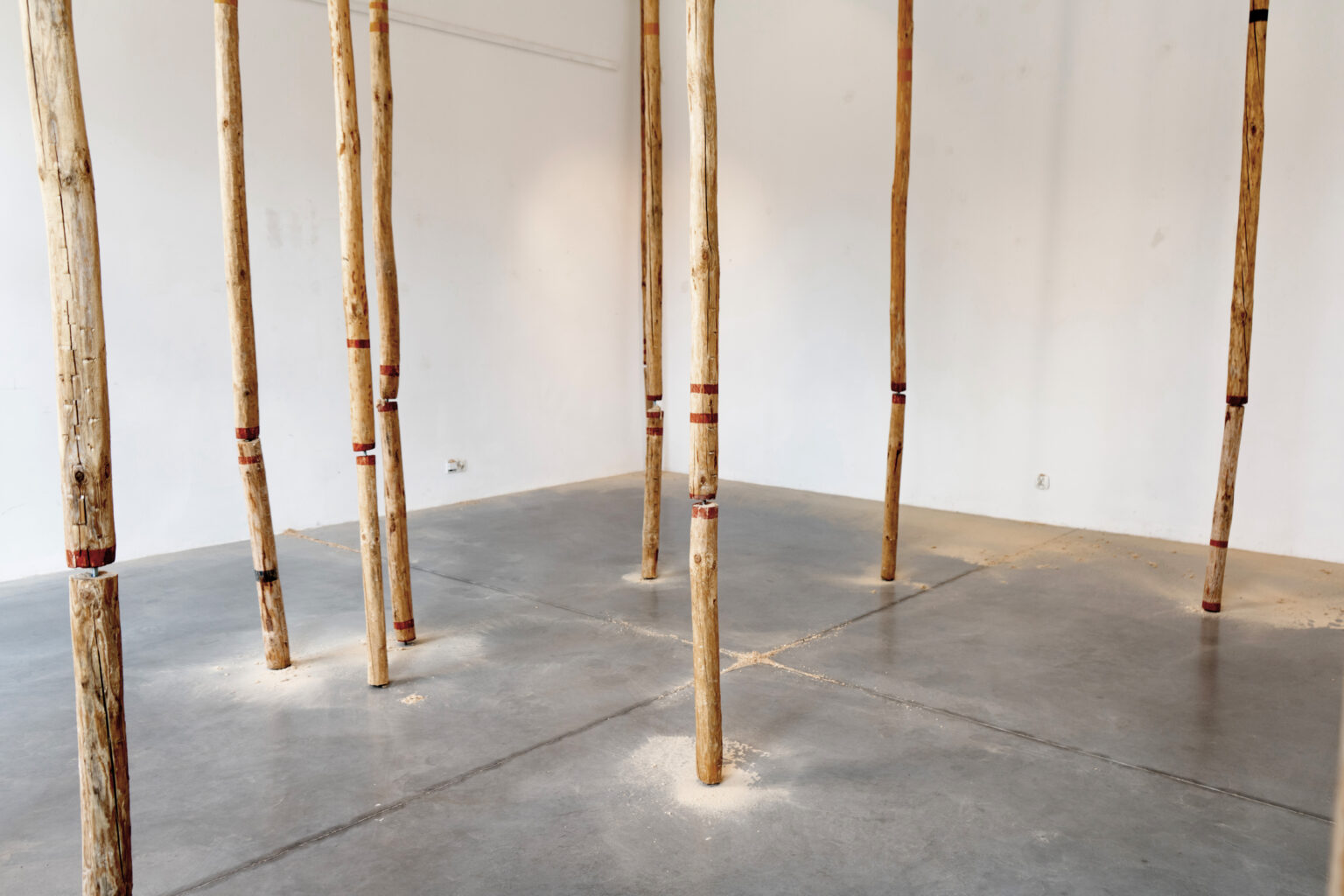 Instalacja przestrzenna składająca się z drewnianych belek rozpostartych pomiedzy sufitem a podłogą. Obok belek pozostałości po leżą wióry, pozostałości po obróbce drewna.