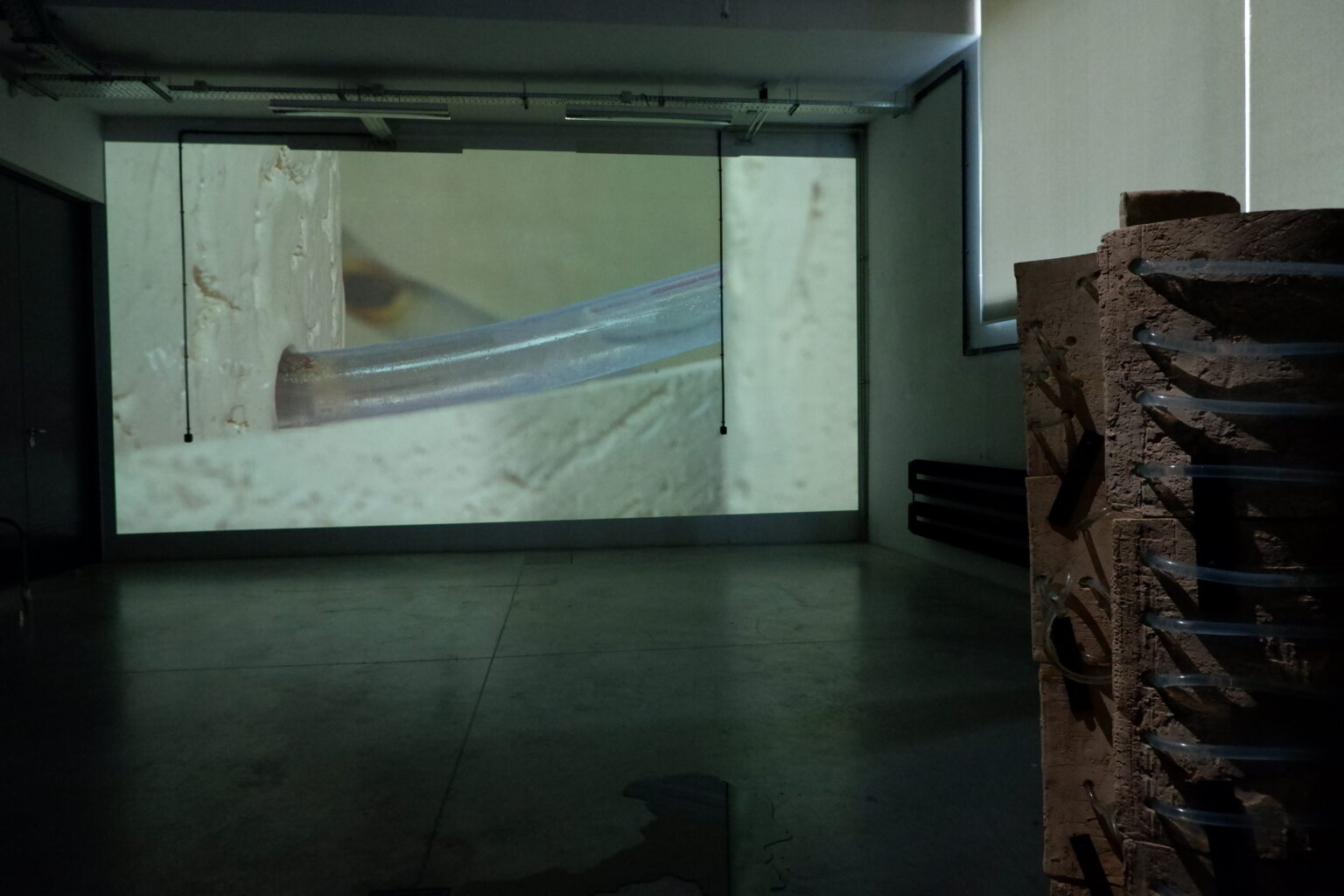 Instalacja przestrzenna składająca się z obiektu ceramicznego i projekcji wideo. Przez obiekt przeplecione są rurki z płynem sugerującym płyny ustrojowe. Detal