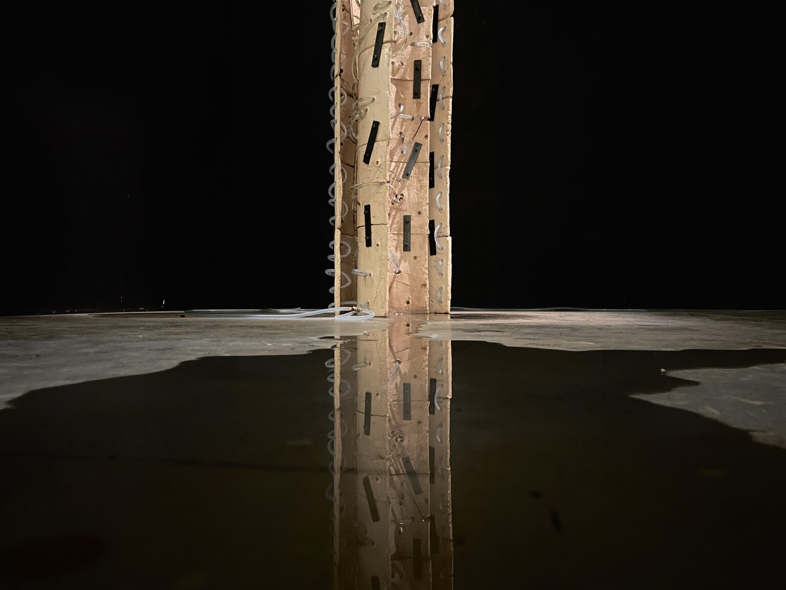 Instalacja przestrzenna składająca się z obiektu ceramicznego i projekcji wideo. Przez obiekt przeplecione są rurki z płynem sugerującym płyny ustrojowe.