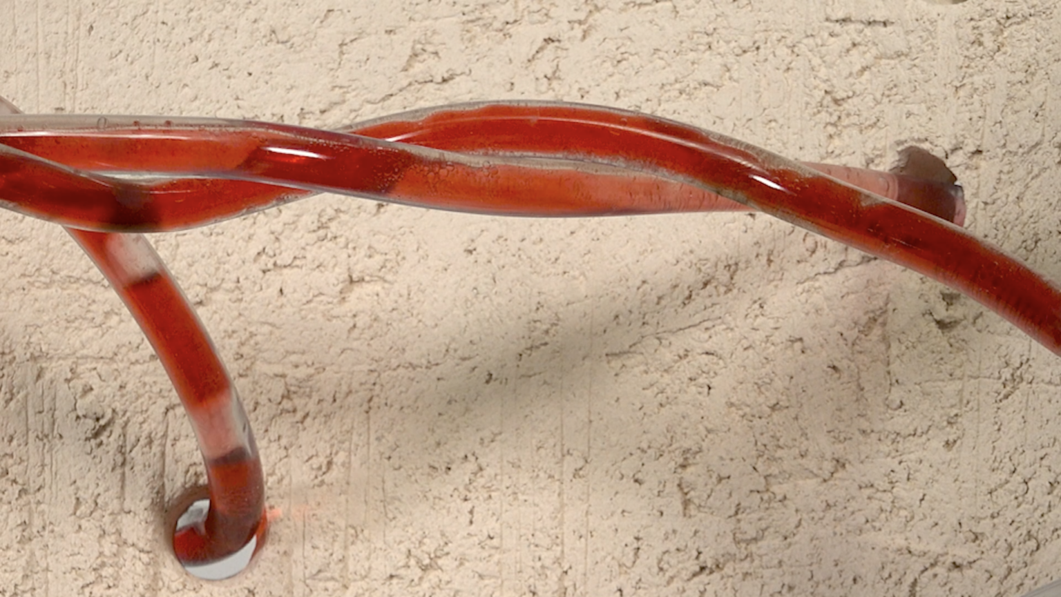 Instalacja przestrzenna składająca się z obiektu ceramicznego i projekcji wideo. Przez obiekt przeplecione są rurki z płynem sugerującym płyny ustrojowe. Detal