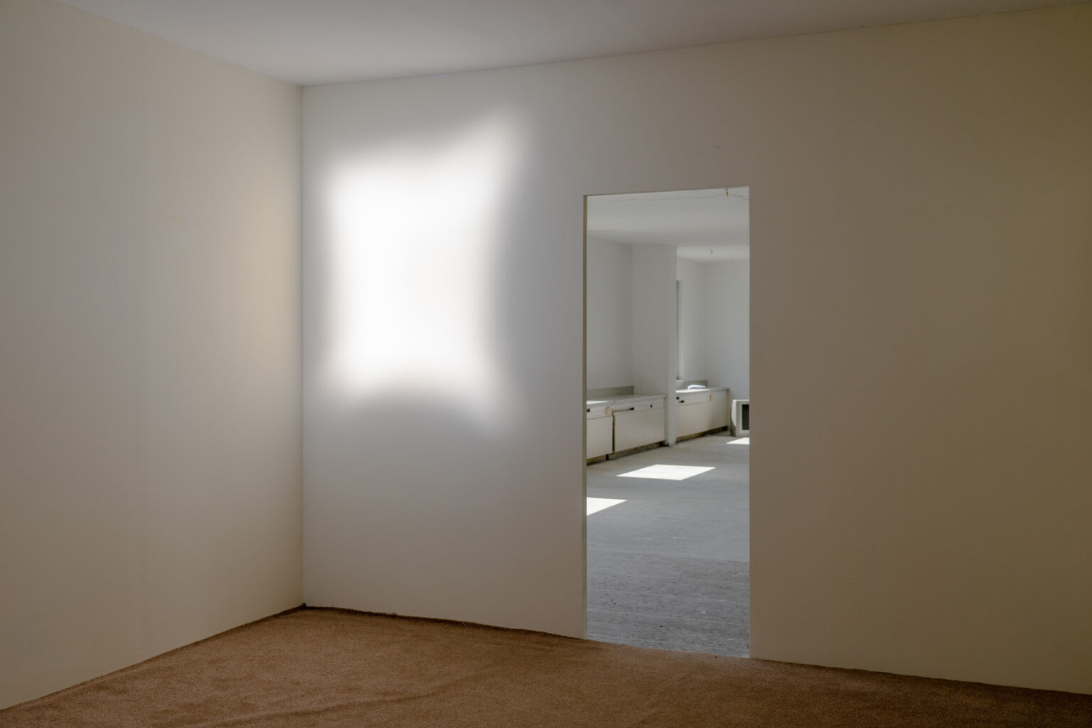 Dyplom magisterski mgr Olgi Truszkowskiej