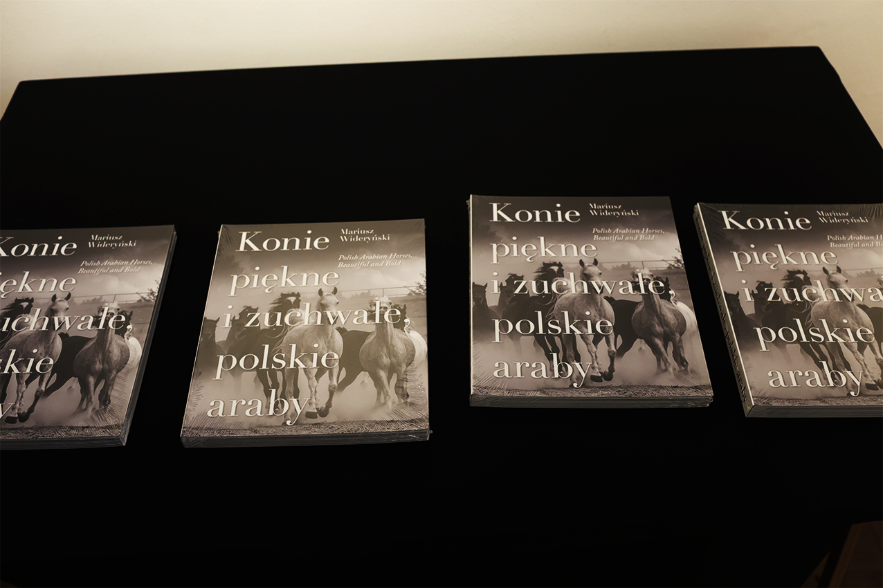 Relacja fotograficzna ze spotkania z prof. Mariuszem Wideryńskim w Muzeum Łazienki Królewskie, Stajnie Kubickiego 19 maja 2025 r.