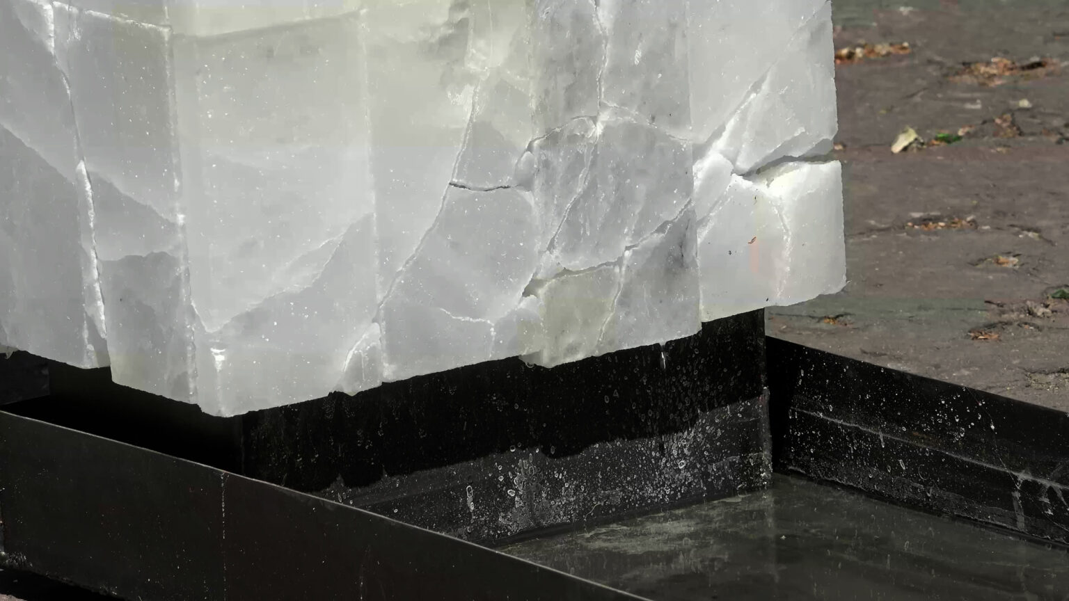 dyplom licencjacki Julii Moczulskiej