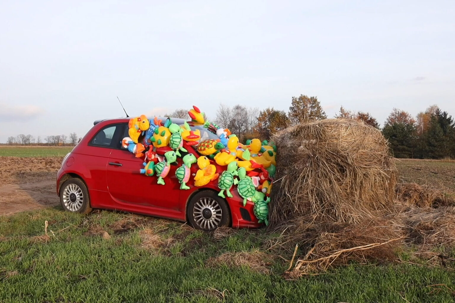 Czerwony samochód oblepiony kolorowymi dmuchanymi zabawkami uderza w stóg siana na polu.