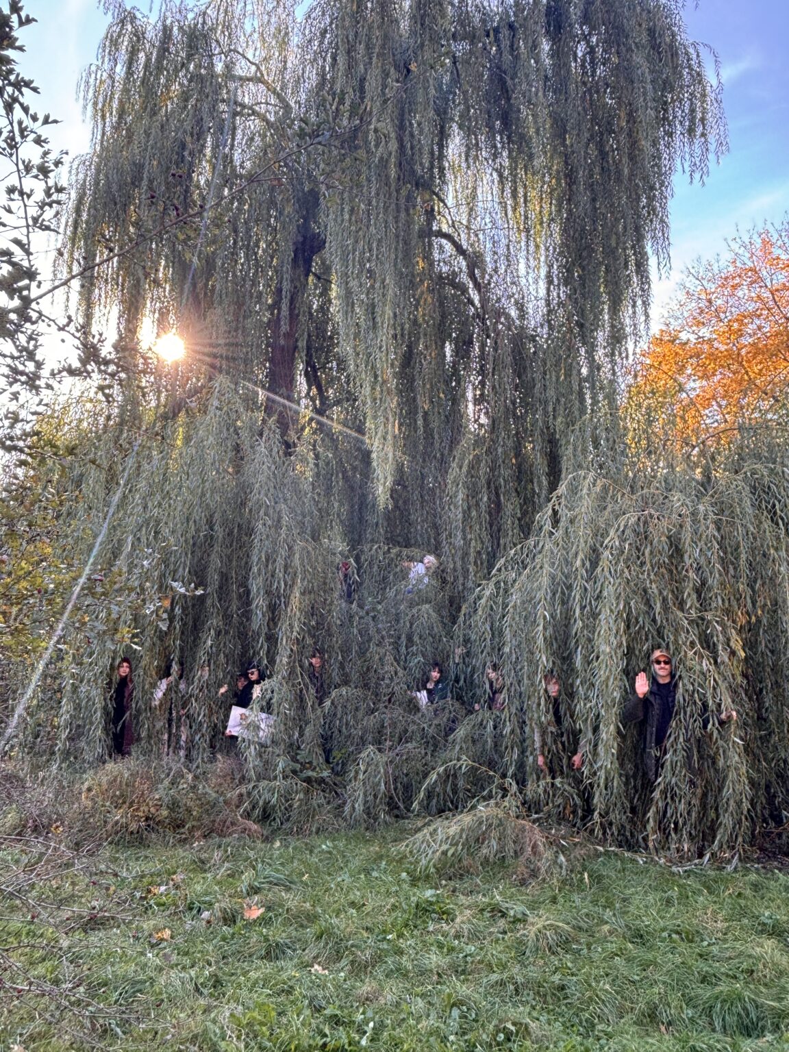 Grupa osób jest częściowo ukryta w liściach wierzby płaczącej.