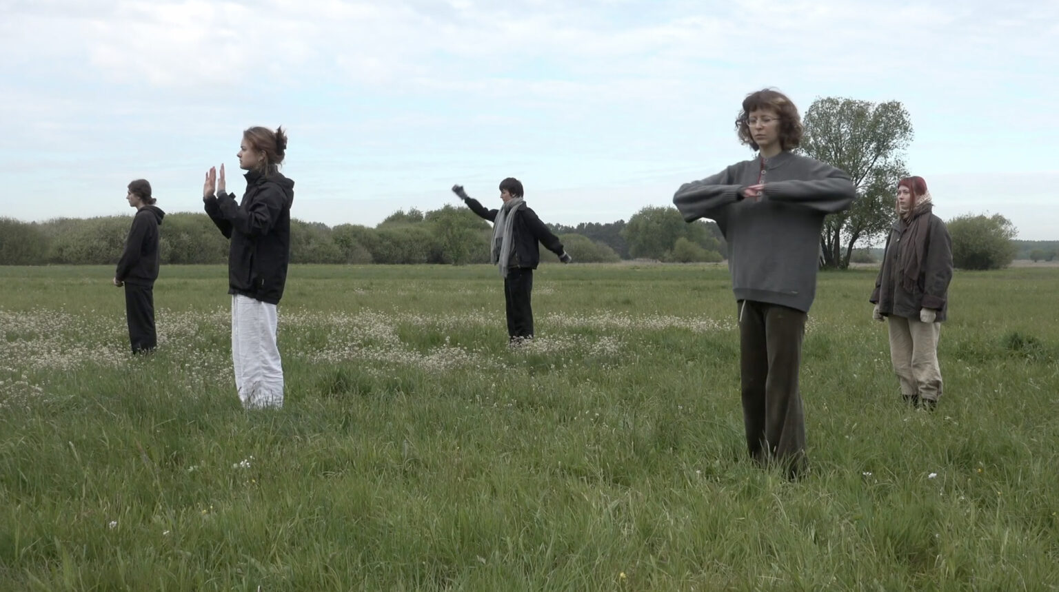 Kadr z filmu. Grupa osób stoi na łące, wykonują różne abstrakcyjne gesty rękami.