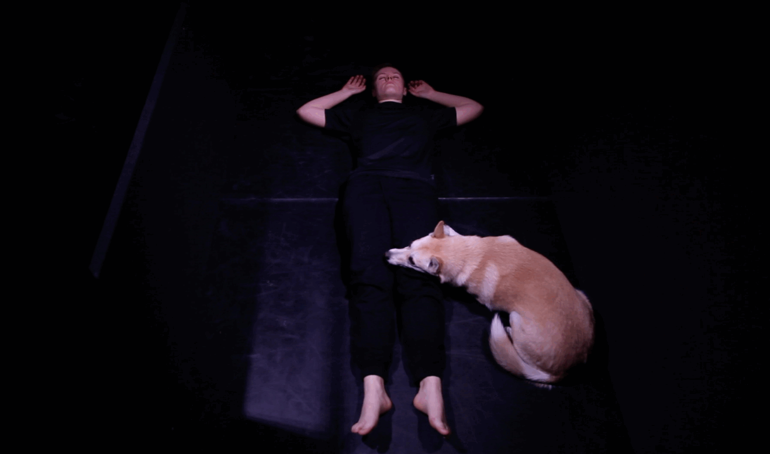 Ujęcie z góry. Na czarnej podłodze leży dziewczyna ubrana na czarno oraz jej pies. Dziewczyna ma ręce leżące obok głowy. Jej pies w kolorze jasnobeżowym leży obok niej trzymając swoją głowę na jej lewej nodze.