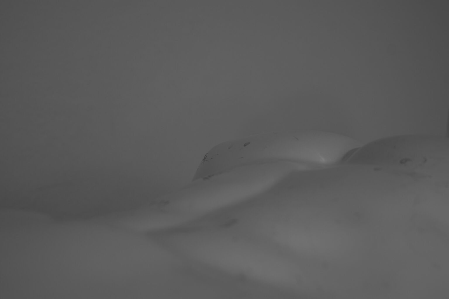 fragment leżącego torsu manekina na jasnym tle.