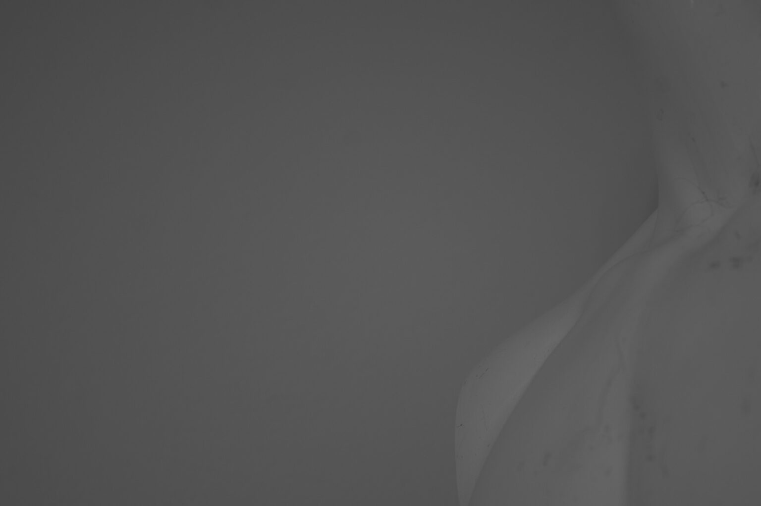 fragment górnej części torsu manekina na jasnym tle.