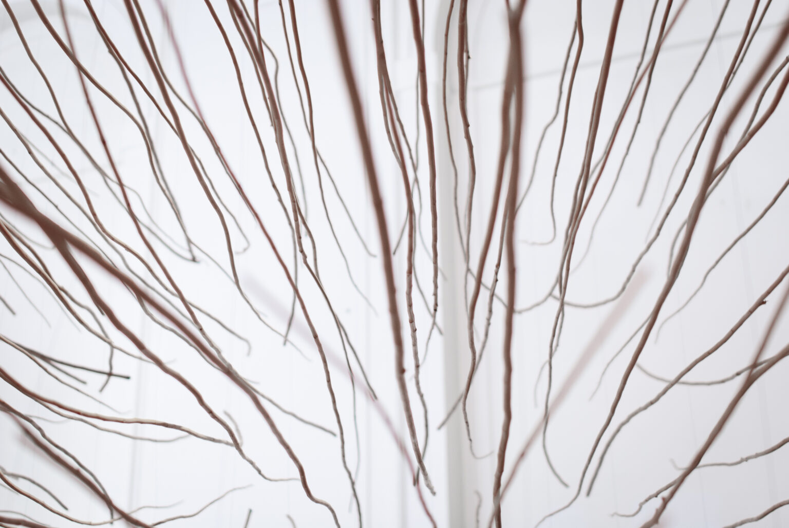 praca dr Karola Jaworowskiego biorąca udział w wystawie “Niedopowiedzenia”