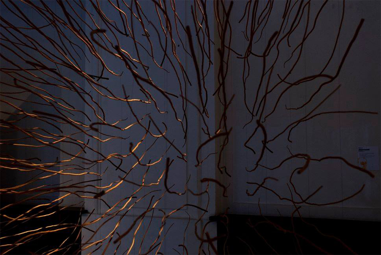 praca dr Karola Jaworowskiego biorąca udział w wystawie “Niedopowiedzenia”