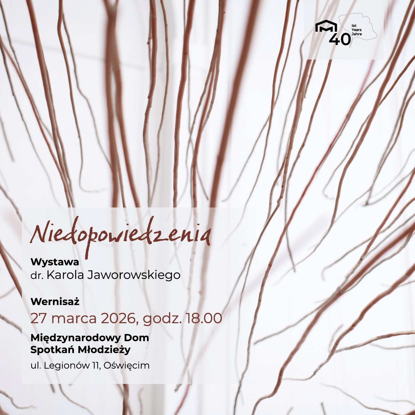 Grafika promujące wystawę “Niedopowiedzenia” dr Karola Jaworowskiego