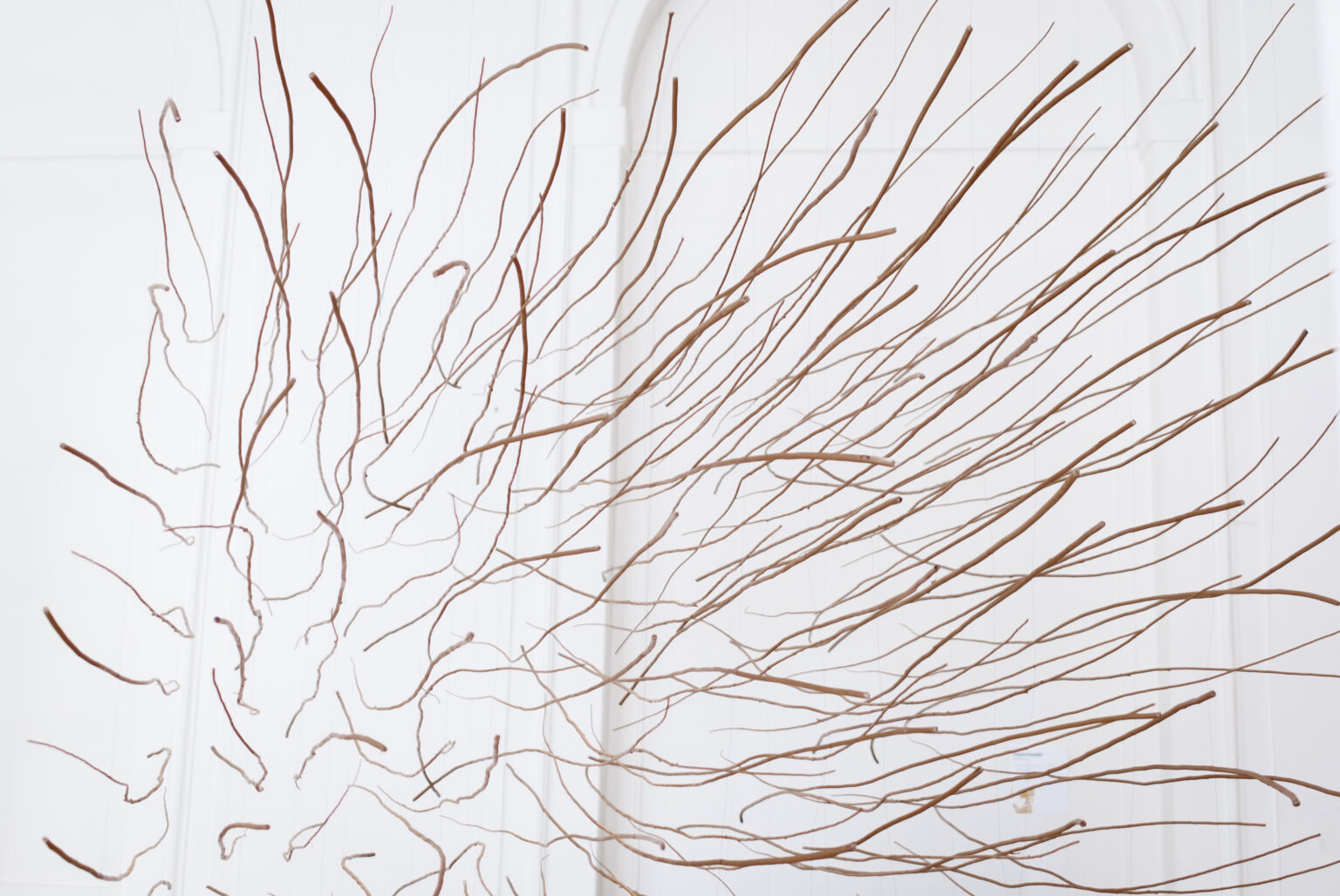 praca dr Karola Jaworowskiego biorąca udział w wystawie “Niedopowiedzenia”