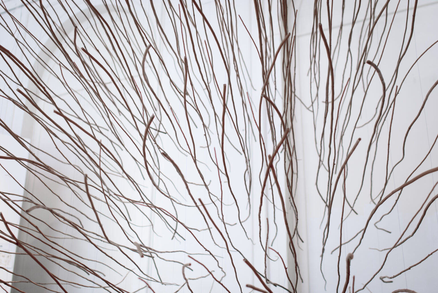 praca dr Karola Jaworowskiego biorąca udział w wystawie “Niedopowiedzenia”