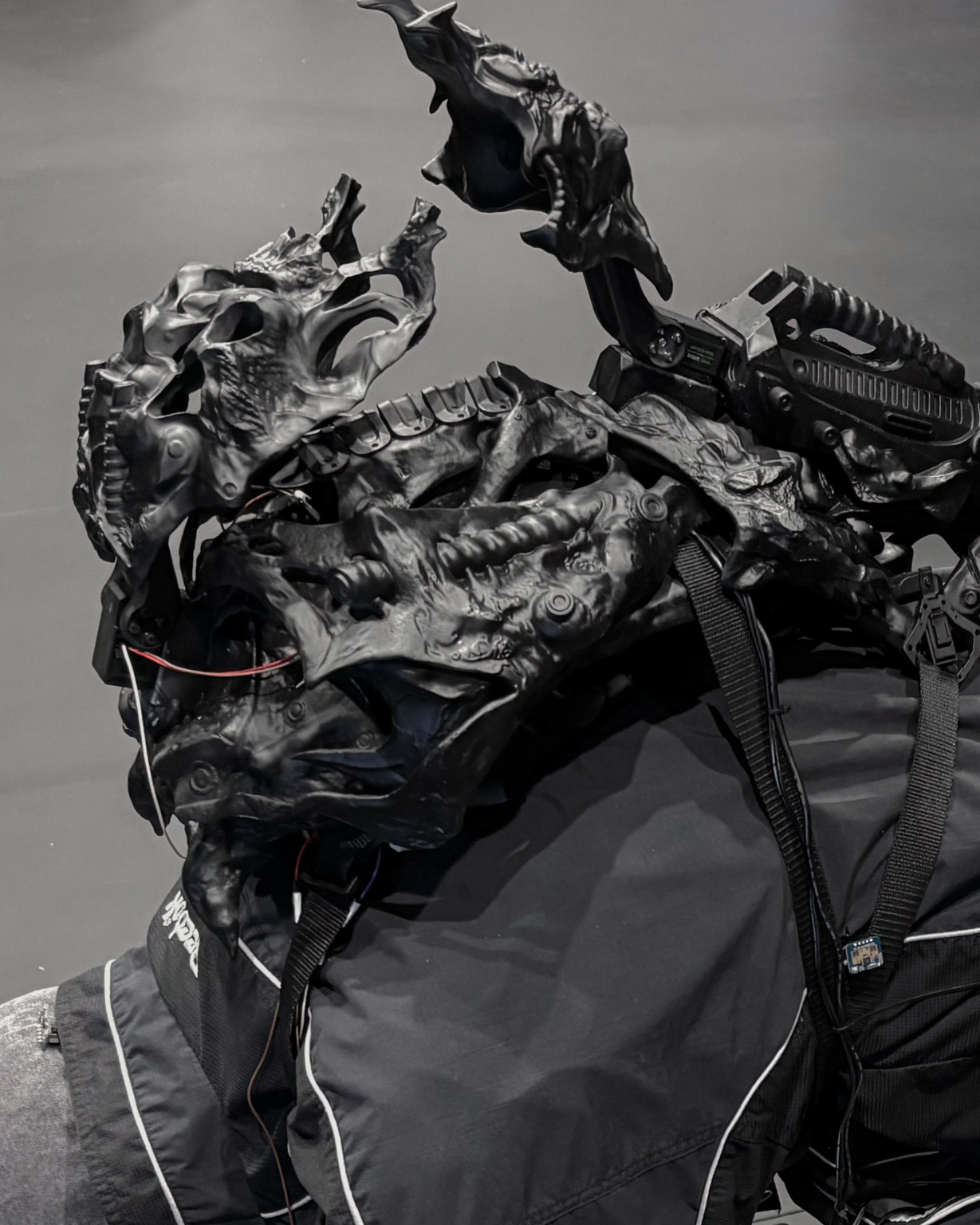 dyplom magisterski Piotra Stechury