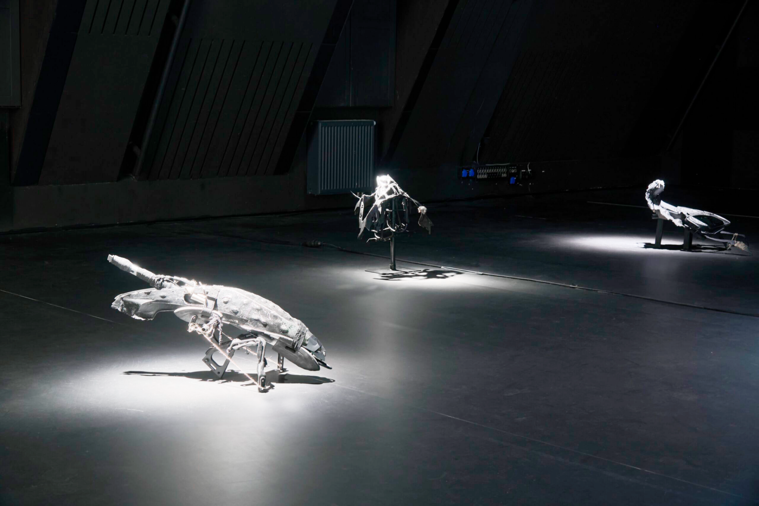 dyplom magisterski Piotra Stechury